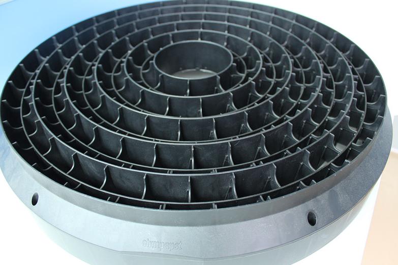 Mold Show