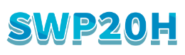 BSM P20H